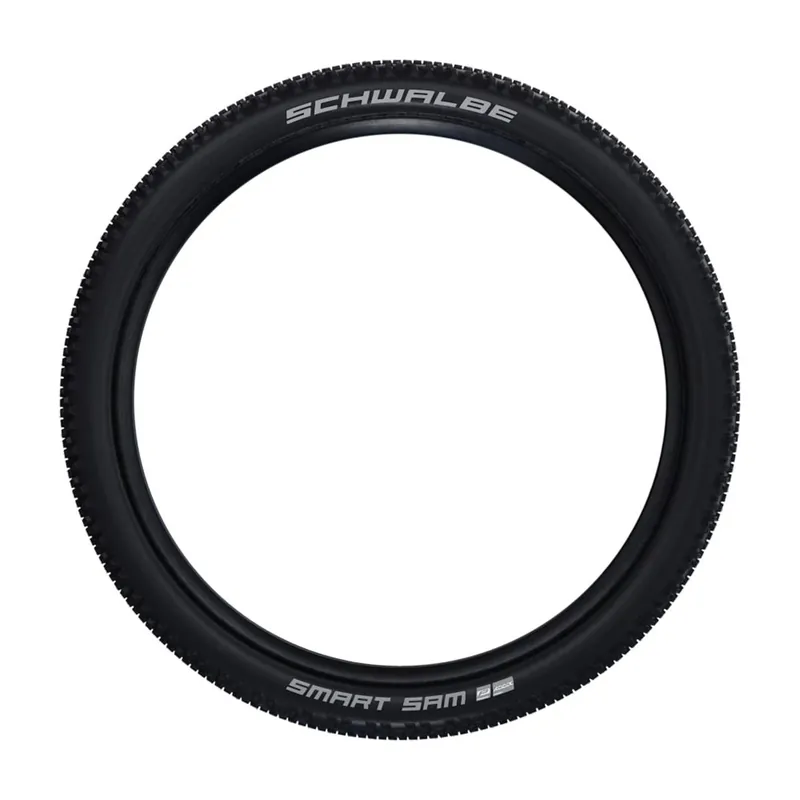 Finale Aktion Schwalbe Smart Sam / HS 476 (29x2.10")